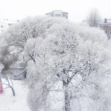 Koda - Balcony - Great Design And Location 公寓 罗瓦涅米